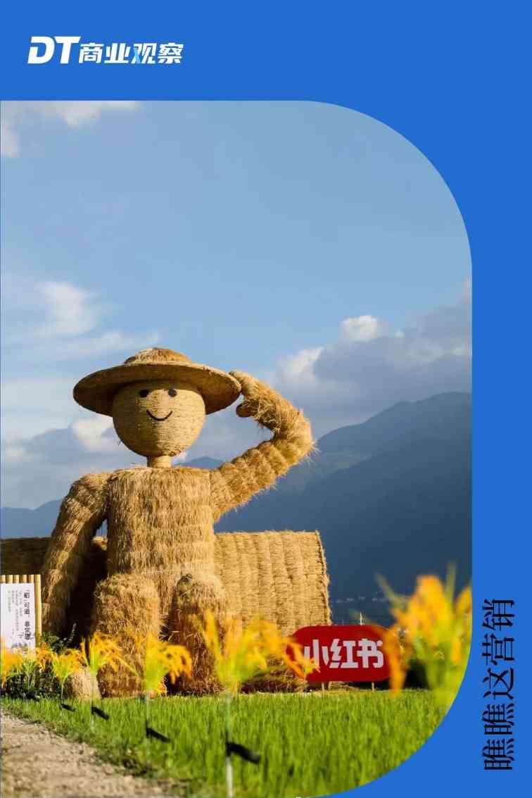 为什么品牌增长，需要小红书IP？