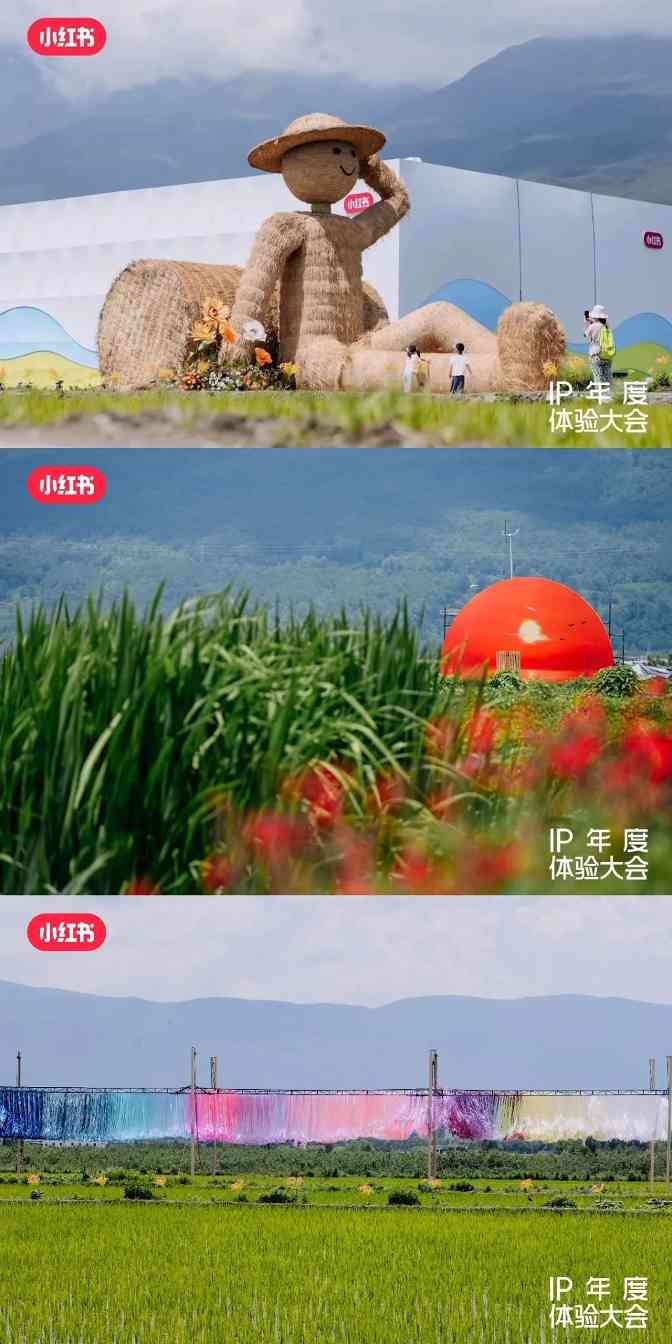 为什么品牌增长，需要小红书IP？