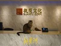 北京观复文化裁员引发争议 员工仲裁维权(图2)