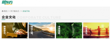 31年创业经验，总能冲破至暗时刻，他的人才观有点东西(图4)