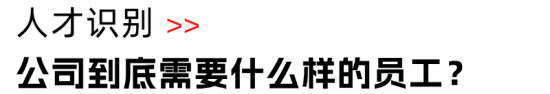 31年创业经验，总能冲破至暗时刻，他的人才观有点东西(图3)
