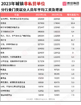 2023年全国平均工资数据解读:非私营与私营单位差距扩大趋势分析(图5) 2023年全国平均工资数据解读:非私营与私营单位差距扩大趋势分析(图5)