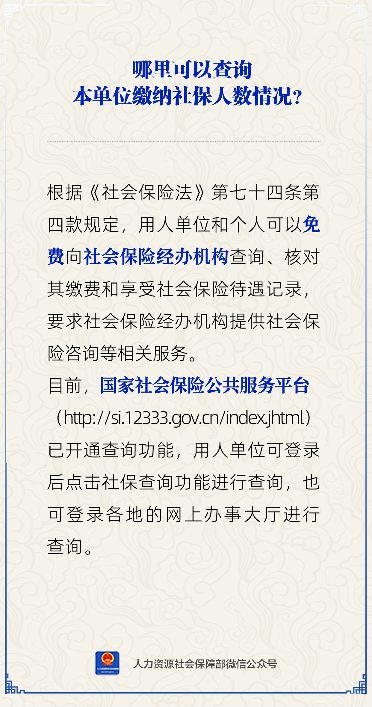怎么查询单位缴纳社保人数情况？
