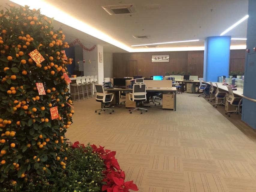 东莞金添实业投资有限公司图片7