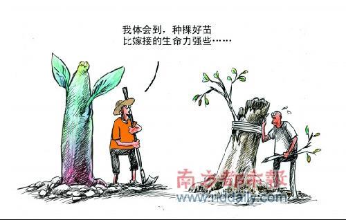 人才如同种子：适应土壤更重要(图1)