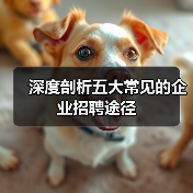 深度剖析五大常见的企业招聘途径（图2）