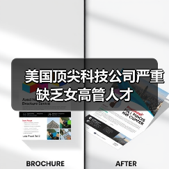 美国顶尖科技公司严重缺乏女高管人才(图1) 美国顶尖科技公司严重缺乏女高管人才(图1)