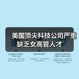 美国顶尖科技公司严重缺乏女高管人才(图4) 美国顶尖科技公司严重缺乏女高管人才(图4)