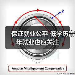 保证就业公平 低学历青年就业也应关注（图4）