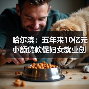 哈尔滨:五年来10亿元小额贷款促妇女就业创业(图4) 哈尔滨:五年来10亿元小额贷款促妇女就业创业(图4)