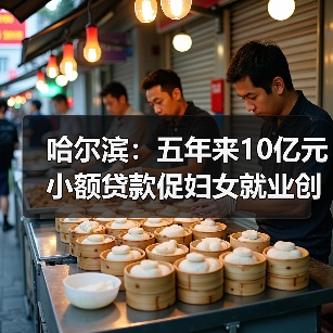 哈尔滨:五年来10亿元小额贷款促妇女就业创业(图3) 哈尔滨:五年来10亿元小额贷款促妇女就业创业(图3)