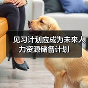 见习计划应成为未来人力资源储备计划(图4) 见习计划应成为未来人力资源储备计划(图4)