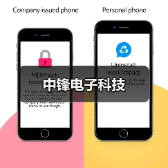 中锋电子科技(图3) 中锋电子科技(图3)