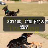 2011年,转型下的人才选择(图4) 2011年,转型下的人才选择(图4)
