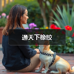 通天下橡胶(图2) 通天下橡胶(图2)