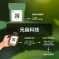 元良科技(图2) 元良科技(图2)