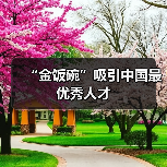 “金饭碗”吸引中国最优秀人才(图3) “金饭碗”吸引中国最优秀人才(图3)