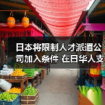 日本将限制人才派遣公司加入条件 在日华人支持(图3) 日本将限制人才派遣公司加入条件 在日华人支持(图3)