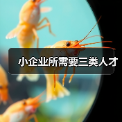 小企业所需要三类人才（图3）