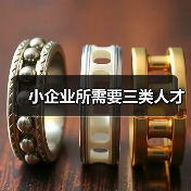 小企业所需要三类人才（图4）