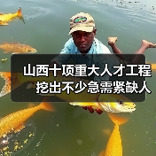 山西十项重大人才工程　挖出不少急需紧缺人才（图4）