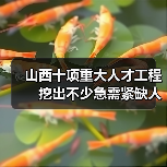 山西十项重大人才工程　挖出不少急需紧缺人才（图3）