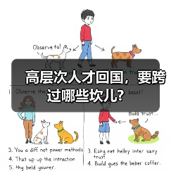 高层次人才回国,要跨过哪些坎儿?(图3) 高层次人才回国,要跨过哪些坎儿?(图3)
