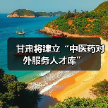 甘肃将建立“中医药对外服务人才库”(图4) 甘肃将建立“中医药对外服务人才库”(图4)