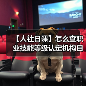 【人社日课】怎么查职业技能等级认定机构目录?(图4) 【人社日课】怎么查职业技能等级认定机构目录?(图4)