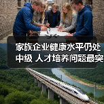家族企业健康水平仍处中级 人才培养问题最突出(图3) 家族企业健康水平仍处中级 人才培养问题最突出(图3)