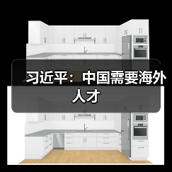 习近平:中国需要海外人才(图4) 习近平:中国需要海外人才(图4)