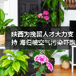 陕西为挽留人才大力支持 海归被空气污染吓跑(图3) 陕西为挽留人才大力支持 海归被空气污染吓跑(图3)