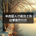 中高层人才薪资上涨 企业更重性价比(图4) 中高层人才薪资上涨 企业更重性价比(图4)