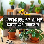 海归求职遇冷?企业招聘转向能力而非学历(图1) 海归求职遇冷?企业招聘转向能力而非学历(图1)