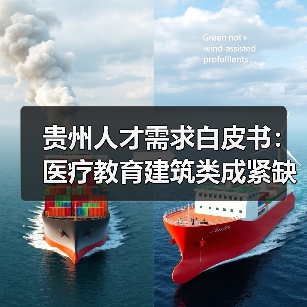 贵州人才需求白皮书:医疗教育建筑类成紧缺领域(图3) 贵州人才需求白皮书:医疗教育建筑类成紧缺领域(图3)