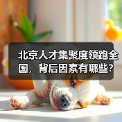 北京人才集聚度领跑全国,背后因素有哪些?(图4) 北京人才集聚度领跑全国,背后因素有哪些?(图4)