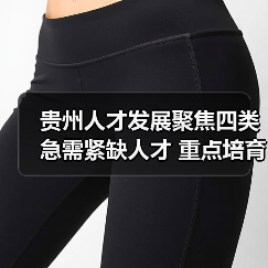 贵州人才发展聚焦四类急需紧缺人才 重点培育科技领军与高技能人才（图2）