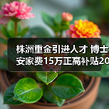 株洲重金引进人才 博士安家费15万正高补贴20万(图2) 株洲重金引进人才 博士安家费15万正高补贴20万(图2)