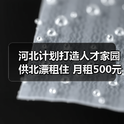 河北计划打造人才家园供北漂租住 月租500元(图3) 河北计划打造人才家园供北漂租住 月租500元(图3)