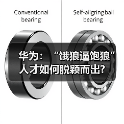 华为:“饿狼逼饱狼” 人才如何脱颖而出?(图3) 华为:“饿狼逼饱狼” 人才如何脱颖而出?(图3)