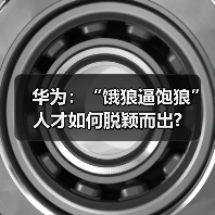 华为:“饿狼逼饱狼” 人才如何脱颖而出?(图4) 华为:“饿狼逼饱狼” 人才如何脱颖而出?(图4)