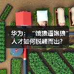 华为:“饿狼逼饱狼” 人才如何脱颖而出?(图2) 华为:“饿狼逼饱狼” 人才如何脱颖而出?(图2)