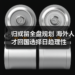 归或留全盘规划 海外人才回国选择日趋理性（图2）