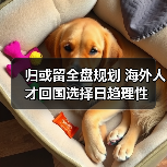 归或留全盘规划 海外人才回国选择日趋理性（图4）