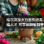 哈尔滨加大力度引进高端人才 可享薪酬编制等优惠（图1）