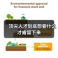 顶尖人才到底想要什么才肯留下来(图4) 顶尖人才到底想要什么才肯留下来(图4)