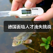 德国面临人才流失挑战（图3）