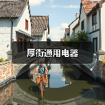 厚街通用电器（图3）