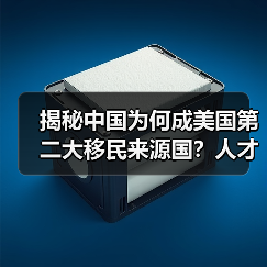 揭秘中国为何成美国第二大移民来源国？人才移民特征显著（图3）