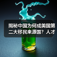 揭秘中国为何成美国第二大移民来源国？人才移民特征显著（图2）